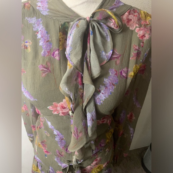 NWOT PAIGE Elynne Floral Long Sleeve Silk Chiffon Dress in Moss Multi Size XL - Picture 6 of 13